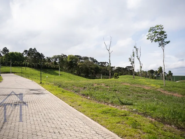 Imagem 10: Terreno em condomínio fechado em Campo Alegre