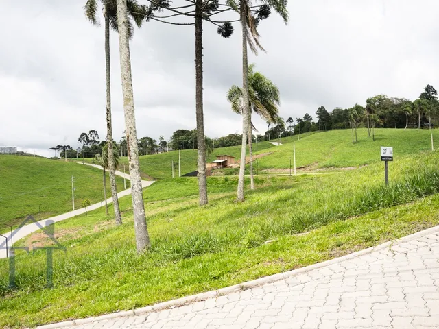 Imagem 2: Terreno em condomínio fechado em Campo Alegre
