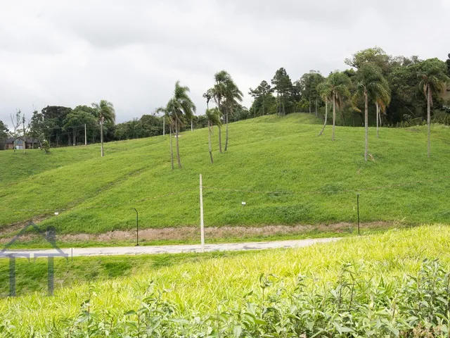 Imagem 5: Terreno em condomínio fechado em Campo Alegre