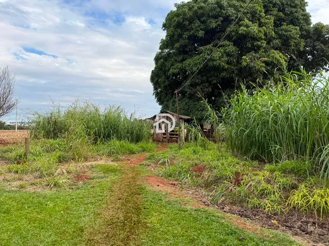 Imagem 6: Chácara a Venda na Linha Gaúcha em Santa Helena-PR