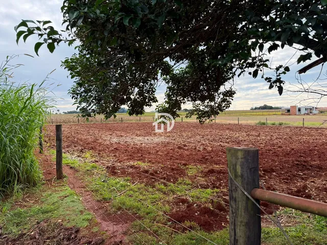 Imagem 3: Chácara a Venda na Linha Gaúcha em Santa Helena-PR