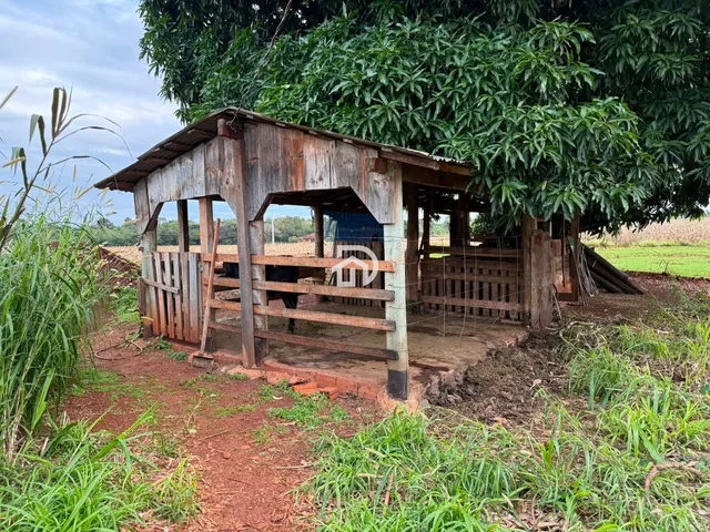 Imagem 12: Chácara a Venda na Linha Gaúcha em Santa Helena-PR