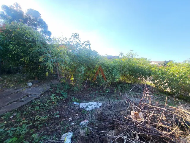 Imagem 11: Casa com 2 dormitórios para locação, VILA CARLI, GUARAPUAVA - PR