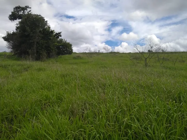 Imagem 6: TERRENO RESIDENCIAL em CALDAS - MG, SÃO PEDRO DE CALDAS