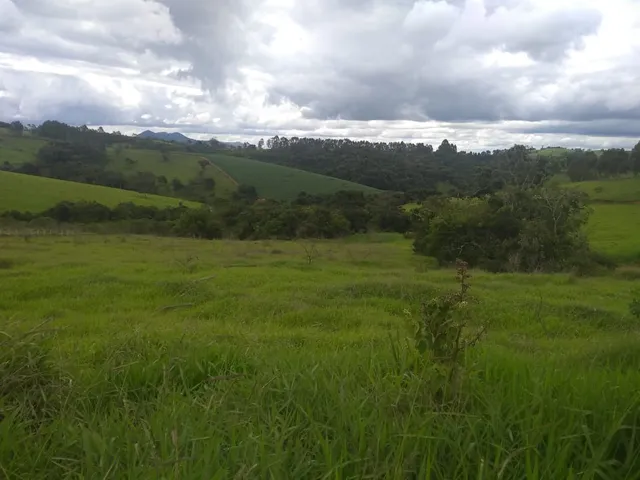 Imagem 9: TERRENO RESIDENCIAL em CALDAS - MG, SÃO PEDRO DE CALDAS