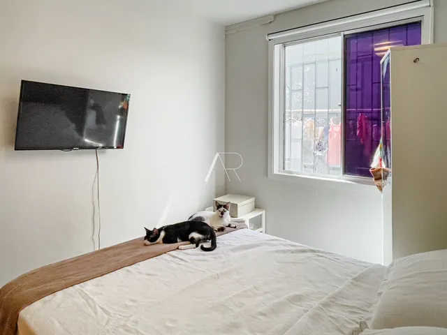 Imagem 3: Apartamento 2 dormitórios no Itacorubi, Florianópolis/SC