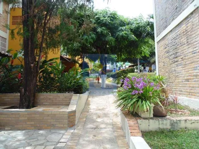 Imagem 12: DUPLEX NO COND. PARRACHOS DE PIRANGI