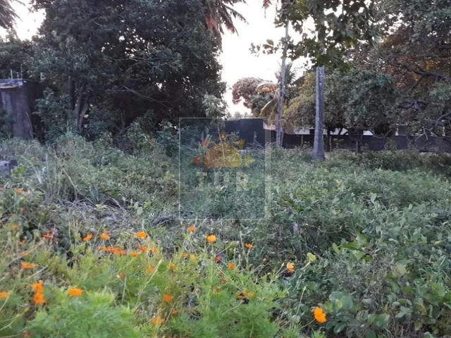 Imagem: TERRENO EM PIRANGI COM 824 M²