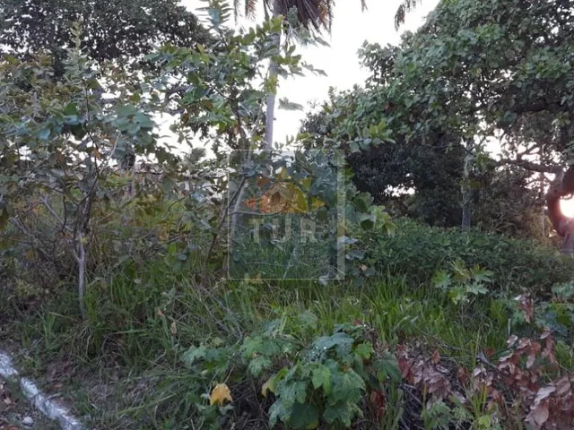 Imagem 7: TERRENO EM PIRANGI COM 824 M²