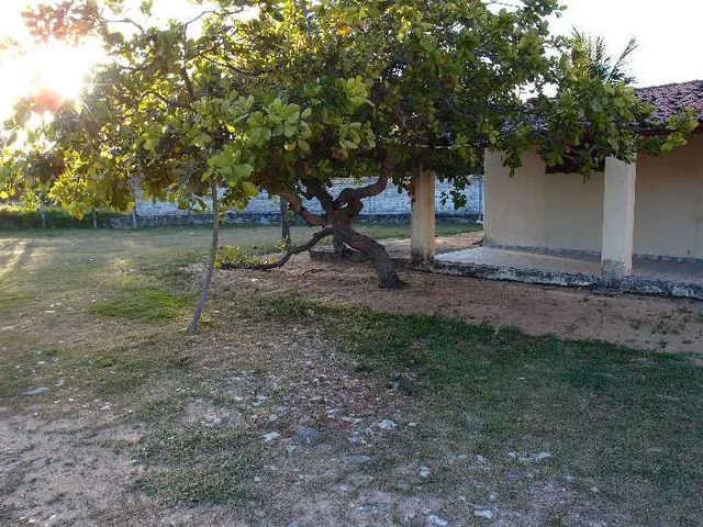 Imagem 10: CASA DE PRAIA EM PIRANGI