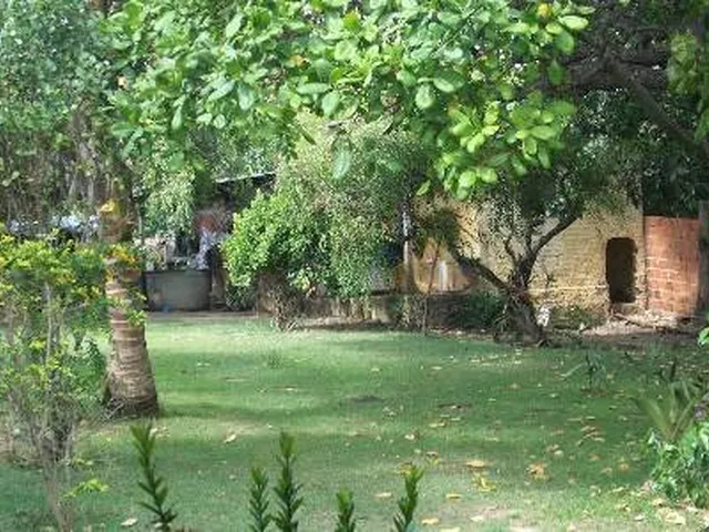 Imagem 4: GRANJA EM PIUM PREÇO IMPERDÍVEL!!! 6.000M²
