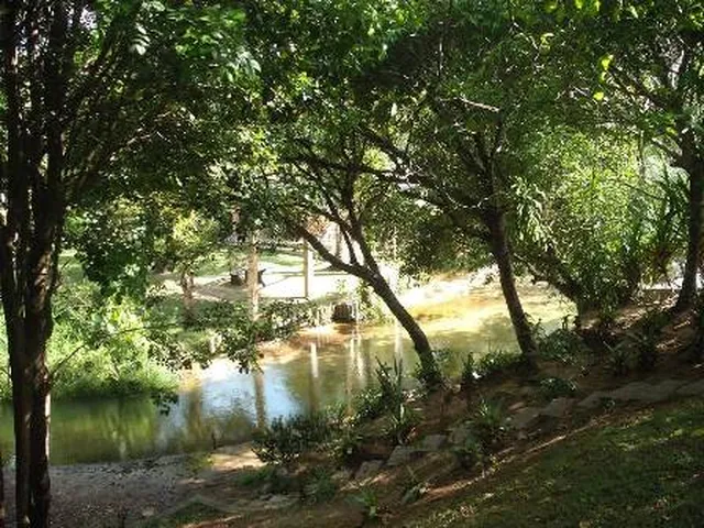 Imagem 6: GRANJA EM PIUM PREÇO IMPERDÍVEL!!! 6.000M²
