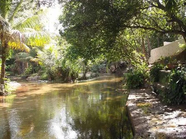 Imagem 7: GRANJA EM PIUM PREÇO IMPERDÍVEL!!! 6.000M²