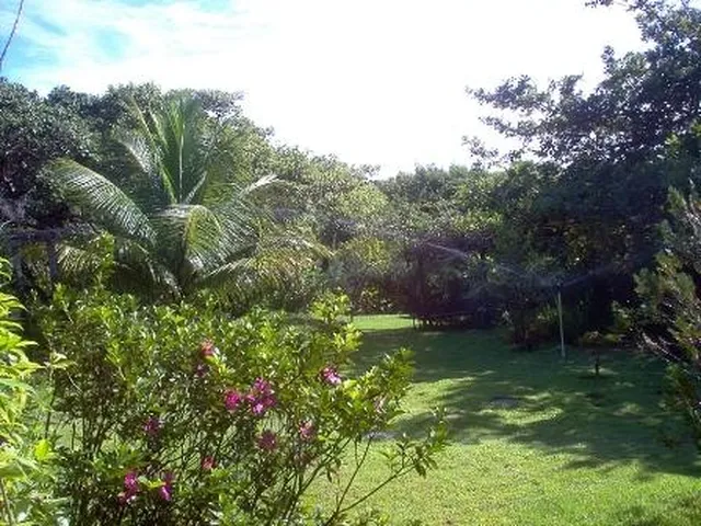 Imagem 9: GRANJA EM PIUM PREÇO IMPERDÍVEL!!! 6.000M²
