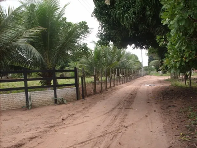 Imagem: GRANJA EM MONTE ALEGRE 13 HA C/ PISCINA