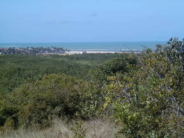 Imagem 2: TERRENO EM GENIPABÚ MEDINDO 4 HECTARES