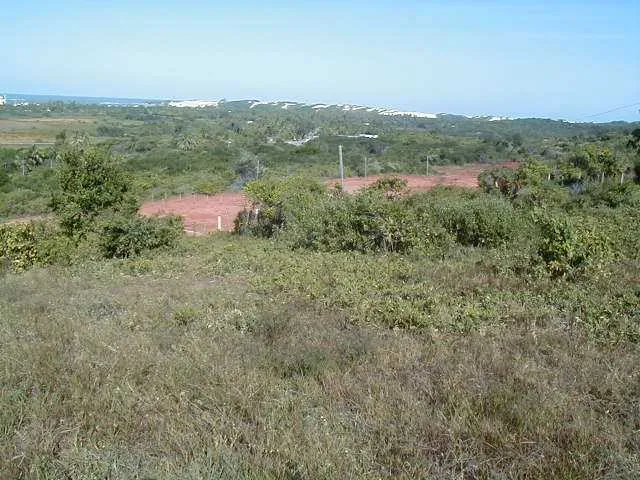 Imagem 4: TERRENO EM GENIPABÚ MEDINDO 4 HECTARES