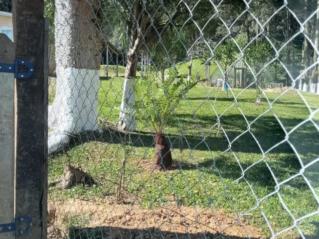 Imagem 8: Chácara em zona rural, Bocaiúva do Sul/PR