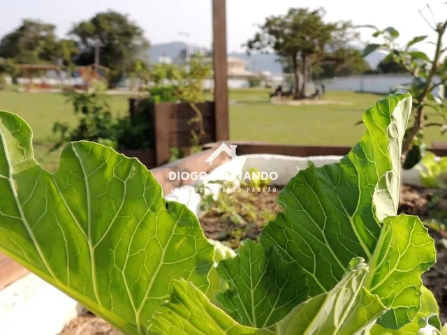 Imagem 3: Terreno em Condomínio no Campeche