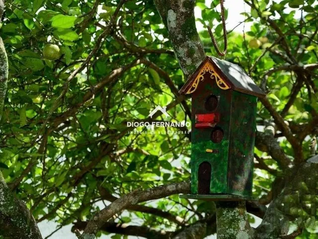 Imagem 12: Casa em Amplo Terreno na Lagoa da Conceição