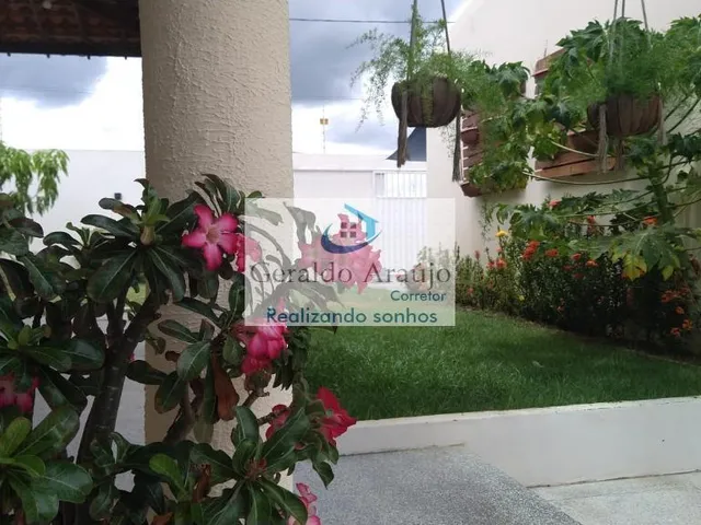 Imagem 12: Chacara Mosqueiro