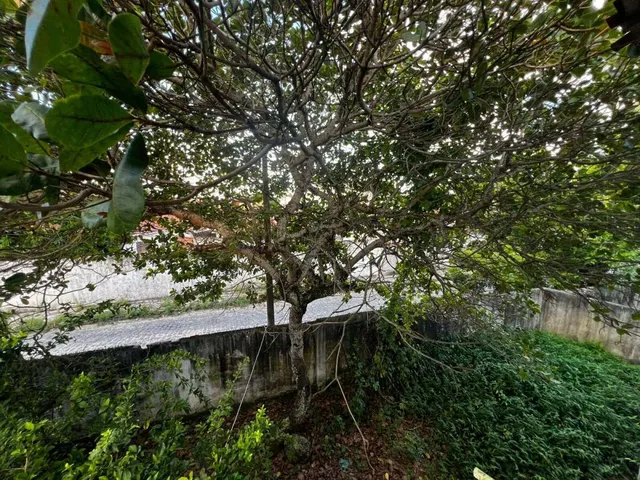 Imagem 4: Casa à venda em João Pessoa, João Paulo II, com 6 quartos, 160m²