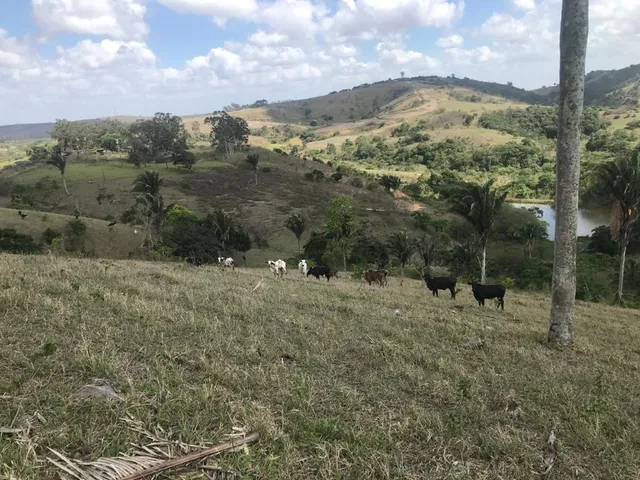 Imagem: Área em Chã Grande