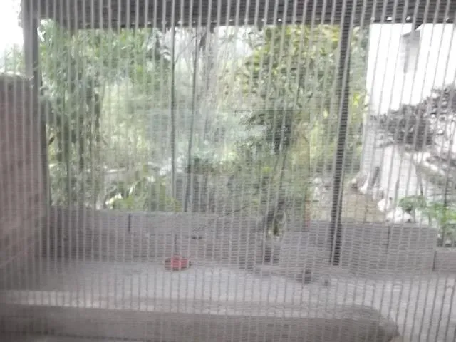 Imagem 16: casa Villa Progresso. Varanda, Área de serviço, 120m² de Área...