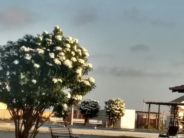 Imagem 3: Parnaíba Residence