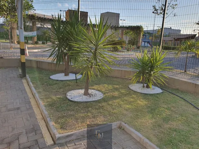 Imagem: Reserva yucca