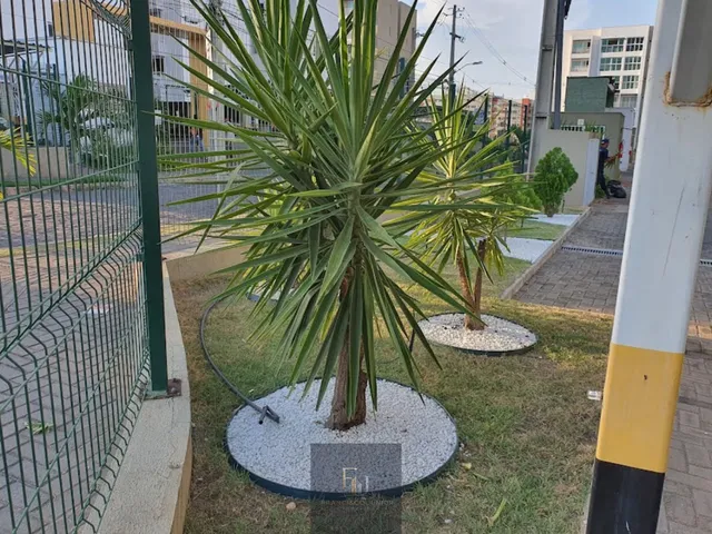 Imagem 2: Reserva yucca Apartamento com 5 dormitórios