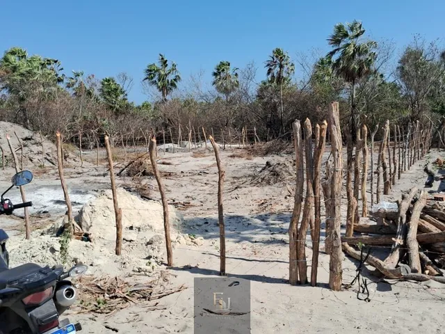 Imagem 10: Terreno Barra grande Piauí