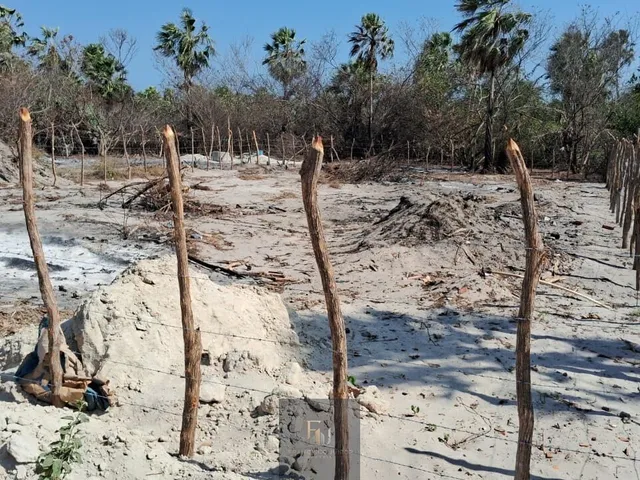 Imagem 8: Terreno Barra grande Piauí