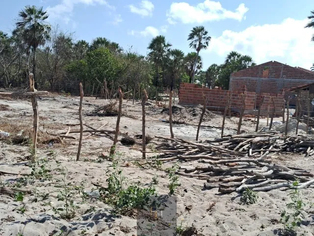 Imagem 4: Terreno Barra grande Piauí