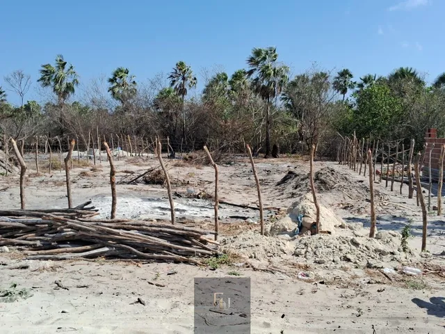 Imagem 5: Terreno Barra grande Piauí