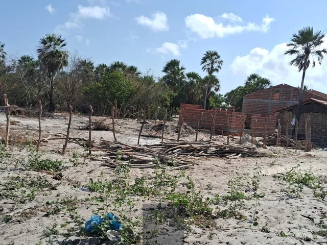 Imagem 7: Terreno Barra grande Piauí