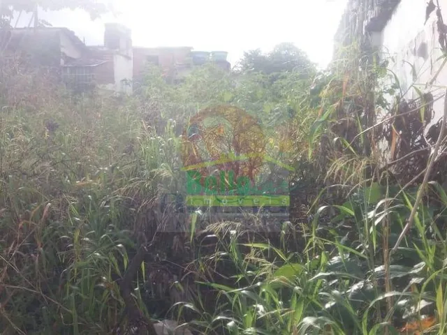 Imagem 6: Locação excelente terreno Madalena
