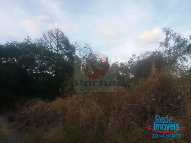 Imagem 6: Terreno para venda/locação na BR-101 Norte