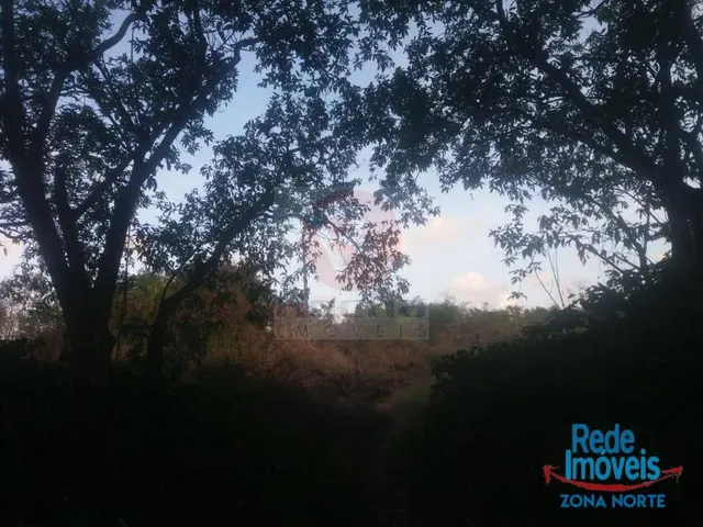 Imagem 10: Terreno para venda/locação na BR-101 Norte