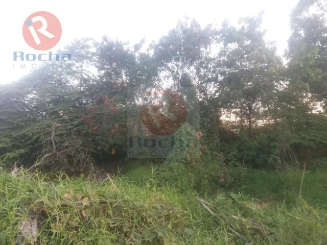 Imagem 11: Terreno para venda/locação na BR-101 Norte