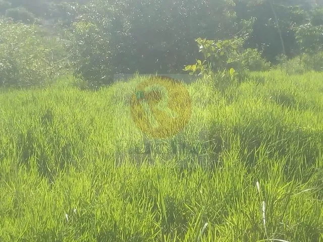 Imagem 2: Terreno em Guabiraba Nova Descoberta