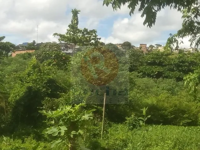 Imagem 3: Terreno em Guabiraba Nova Descoberta