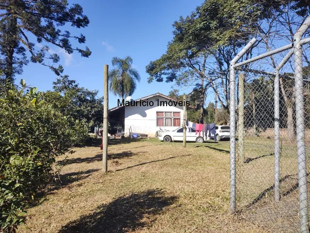 Imagem 12: Chácara com 2.500,00 m², Ribeirão dos Lobos, Taió, S.C., distando 2.400 metros da