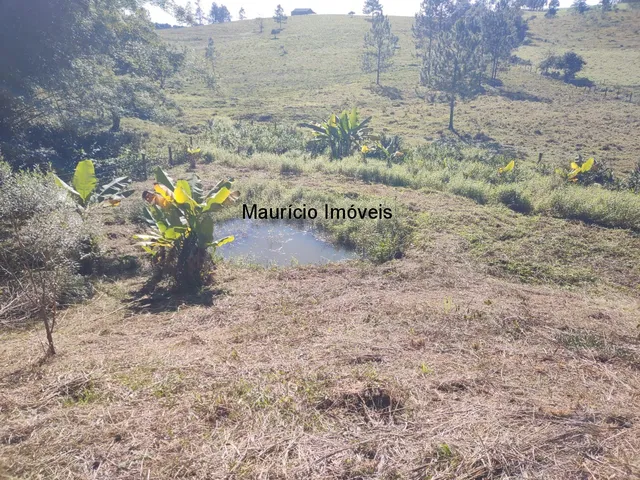 Imagem 7: Chácara com 2.500,00 m², Ribeirão dos Lobos, Taió, S.C., distando 2.400 metros da