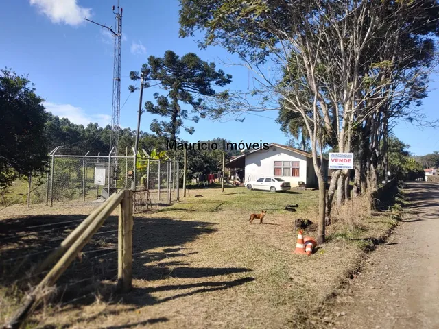 Imagem 8: Chácara com 2.500,00 m², Ribeirão dos Lobos, Taió, S.C., distando 2.400 metros da