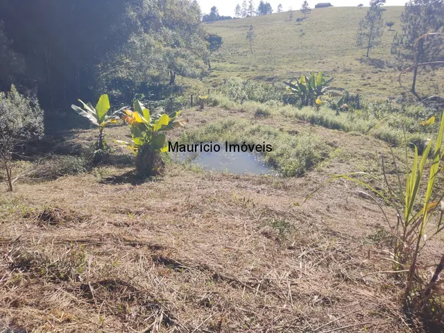 Imagem 9: Chácara com 2.500,00 m², Ribeirão dos Lobos, Taió, S.C., distando 2.400 metros da