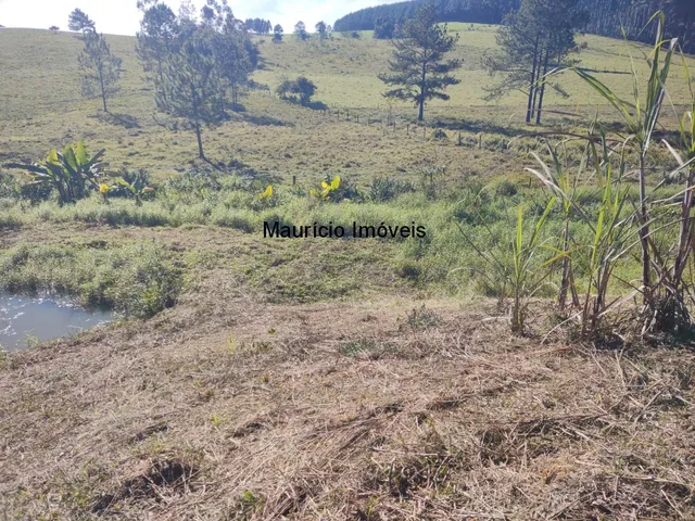 Imagem 3: Chácara com 2.500,00 m², Ribeirão dos Lobos, Taió, S.C., distando 2.400 metros da