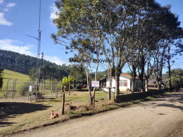 Imagem 13: Chácara com 2.500,00 m², Ribeirão dos Lobos, Taió, S.C., distando 2.400 metros da