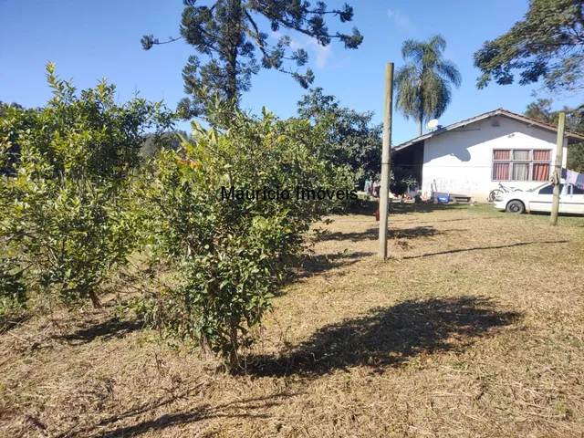 Imagem 4: Chácara com 2.500,00 m², Ribeirão dos Lobos, Taió, S.C., distando 2.400 metros da