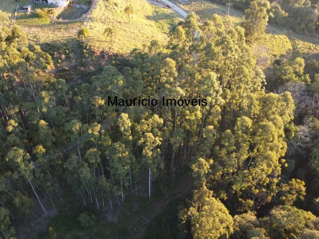 Imagem 13: Terreno Rural com Área de 17.710,00m², na Localidade Ribeirão da Vargem I, Taió, S.C